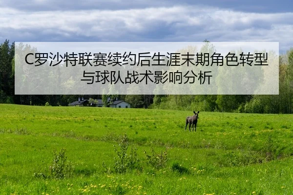 luo-sha-te-lian-sai-xu-yue-hou-sheng-ya-mo-qi-jue-se-zhuan-xing-yu-qiu-dui-zhan-shu-ying-xiang-fen-xi-2-502.jpg