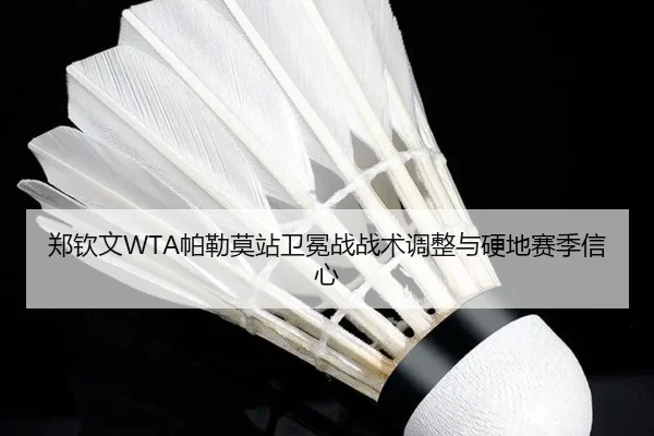 zheng-qin-wen-pa-lei-mo-zhan-wei-mian-zhan-zhan-shu-tiao-zheng-yu-ying-di-sai-ji-xin-xin-3-491.jpg